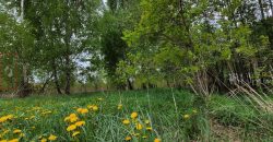 ładna działka/Park Chojnowski/Konstancin/Góra Kalwaria