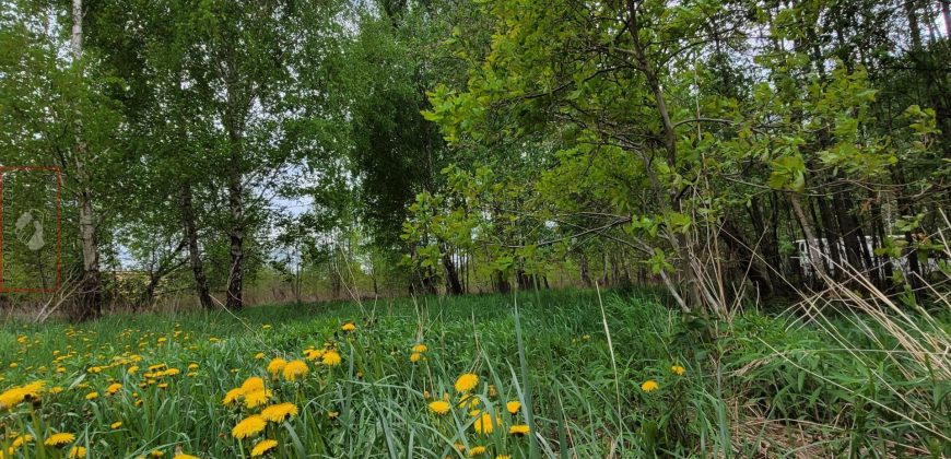 ładna działka/Park Chojnowski/Konstancin/Góra Kalwaria