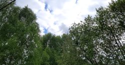 ładna działka/Park Chojnowski/Konstancin/Góra Kalwaria