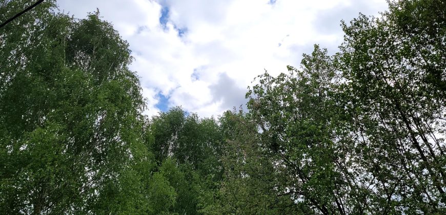 ładna działka/Park Chojnowski/Konstancin/Góra Kalwaria