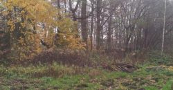 ładna działka/Park Chojnowski/Konstancin/Góra Kalwaria