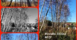 Działka w kwadracie 2001m2 blisko za Konstancinem