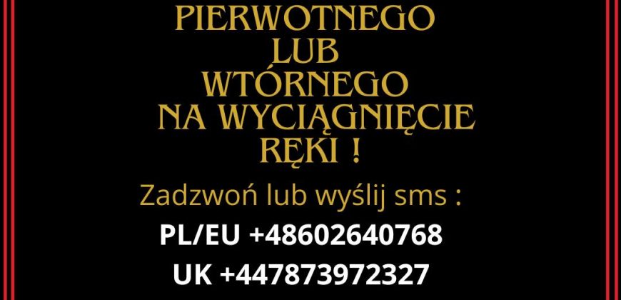 Świetne mieszkanie w niskim domu z ochroną